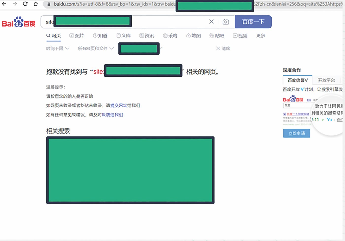 Baidu search results page showing no results found for a site: search of an untranslated, unindexed company website